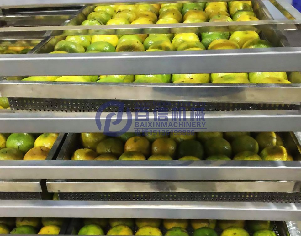 柑普茶烘干機(jī)