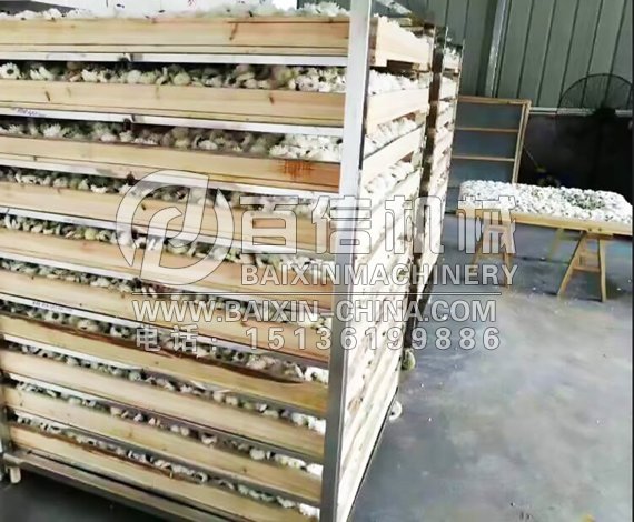 杭白菊烘干機(jī)